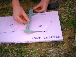 Measure the length of the hoof wall.