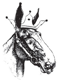 mule wearing a crown